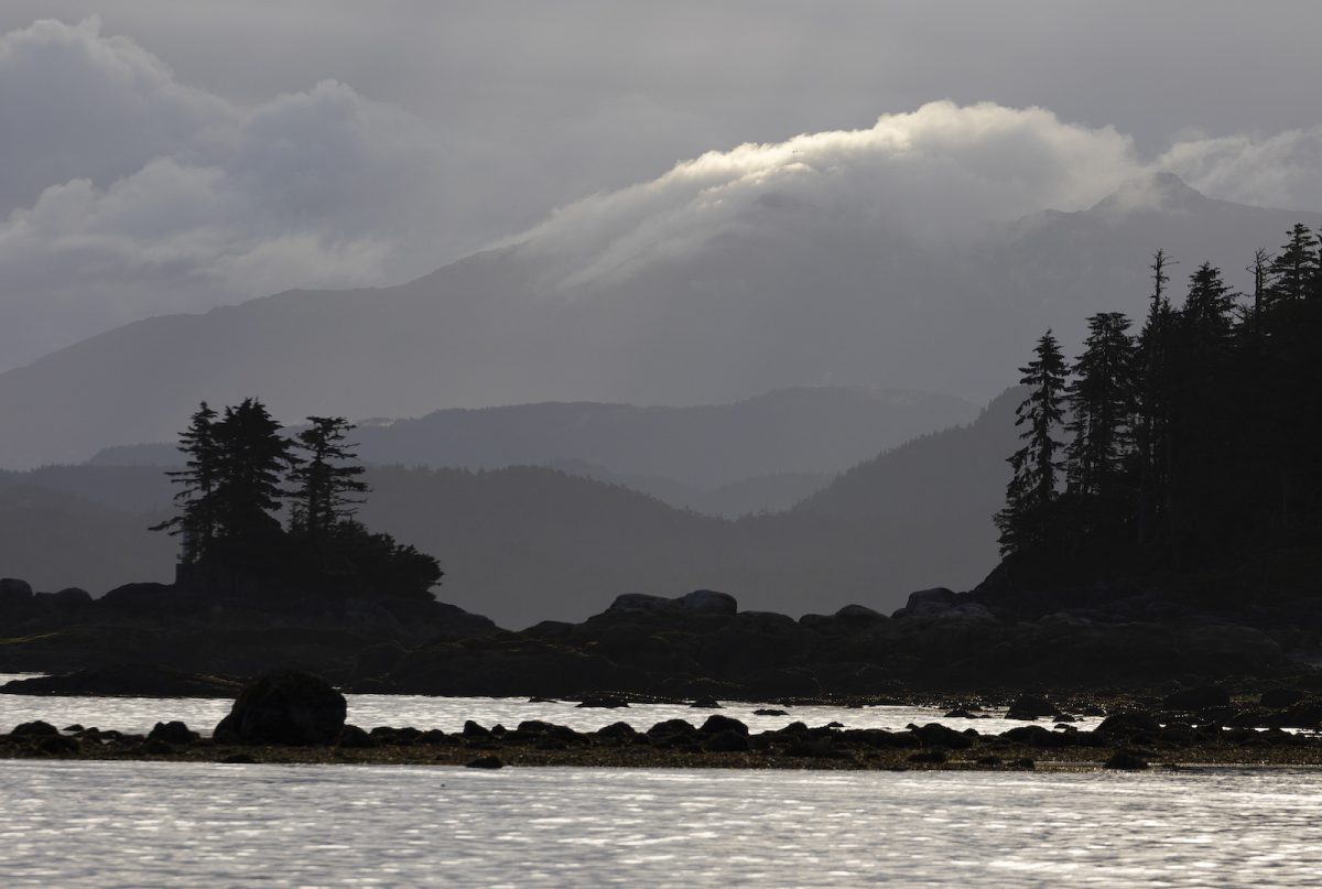Silhouetted trees and shoreline with mountains and moody clouds in background on British Columbia coast.