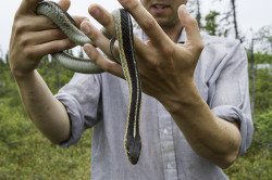 Kevin Downing with a garter snake