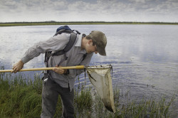 Biologist Kevin Downing condicting aquatic net surveys in northern Ontario