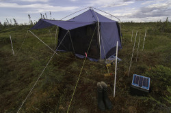 Office tent with solar powered electrified bear fence perimeter