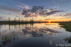 Sunset reflection in a pond in the boreal forest in Ontario's Far North.