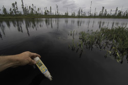 Measurig PH in a pond in the Heart of the Boreal