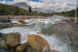 Reptile Creek flowing towards the Snake River, Yukon