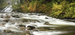 Walbran Creek