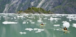Two kayakers paddle amidst the ice and green waters of the BC coast.