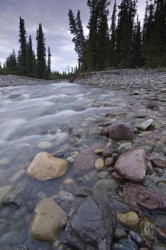 Spatsizi Tributary